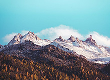 开云体育中国-中国足协公开选聘国足主教练 目标参加2030年世界杯