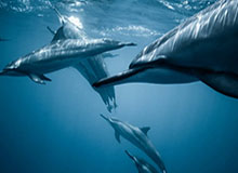 开云体育中国-中国足协公开选聘国足主教练 目标参加2030年世界杯